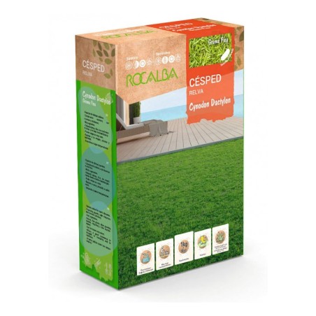 SEMILLAS CÉSPED RELVA CYNODON DACTYLON  (1KG)