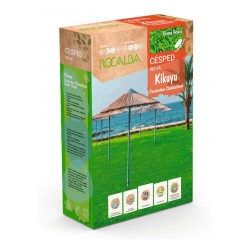 SEMILLA PENNISETUM CLANDESTINUM KIKUYU (1KG)