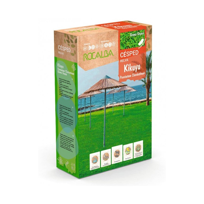 SEMILLA PENNISETUM CLANDESTINUM KIKUYU (1KG)
