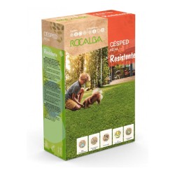 SEMILLA CÉSPED RESISTENTE (1KG)