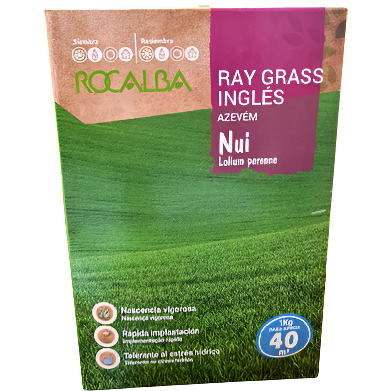 SEMILLA RAY GRASS INGLÉS NUI (1KG)