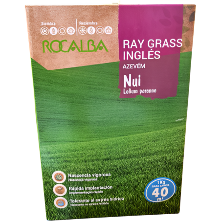 SEMILLA RAY GRASS INGLÉS NUI (1KG)