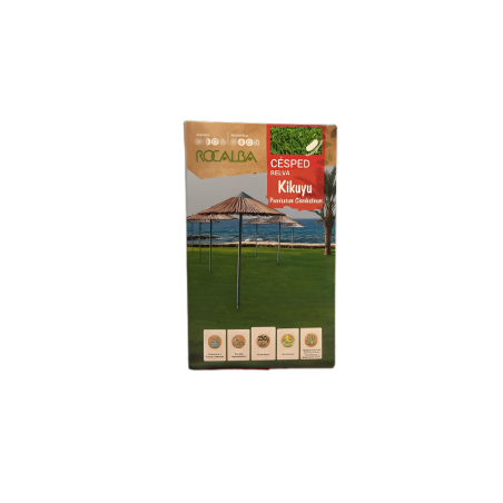 SEMILLA PENNISETUM CLANDESTINUM KIKUYU (250GR)
