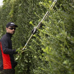 CORTASETOS DHCA-2600 HD PRO