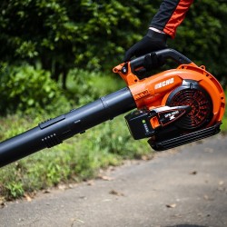 SOPLADOR DPB2600 PRO BATERIA