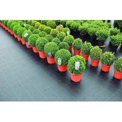 MALLA ANTIHIERBA (75GR)