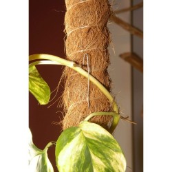 TUTOR FIBRA DE COCO (80 CM)