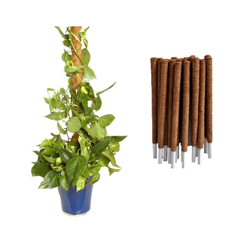 TUTOR FIBRA DE COCO (80 CM)