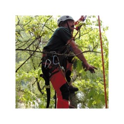 SERRUCHO ZUBAT 300 mm