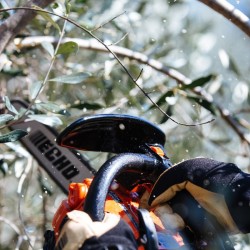 MOTOSIERRA CS280T/25