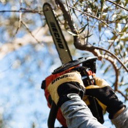 MOTOSIERRA CS280T/25