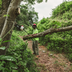 ACCESORIO PAS2620 PODADORA MTA-PP/E