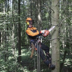 MOTOSIERRA CS362TES/30