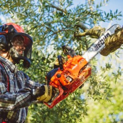 MOTOSIERRA CS362WES/35